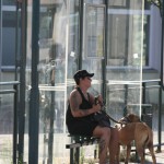 Redebeitrag 29.07.08